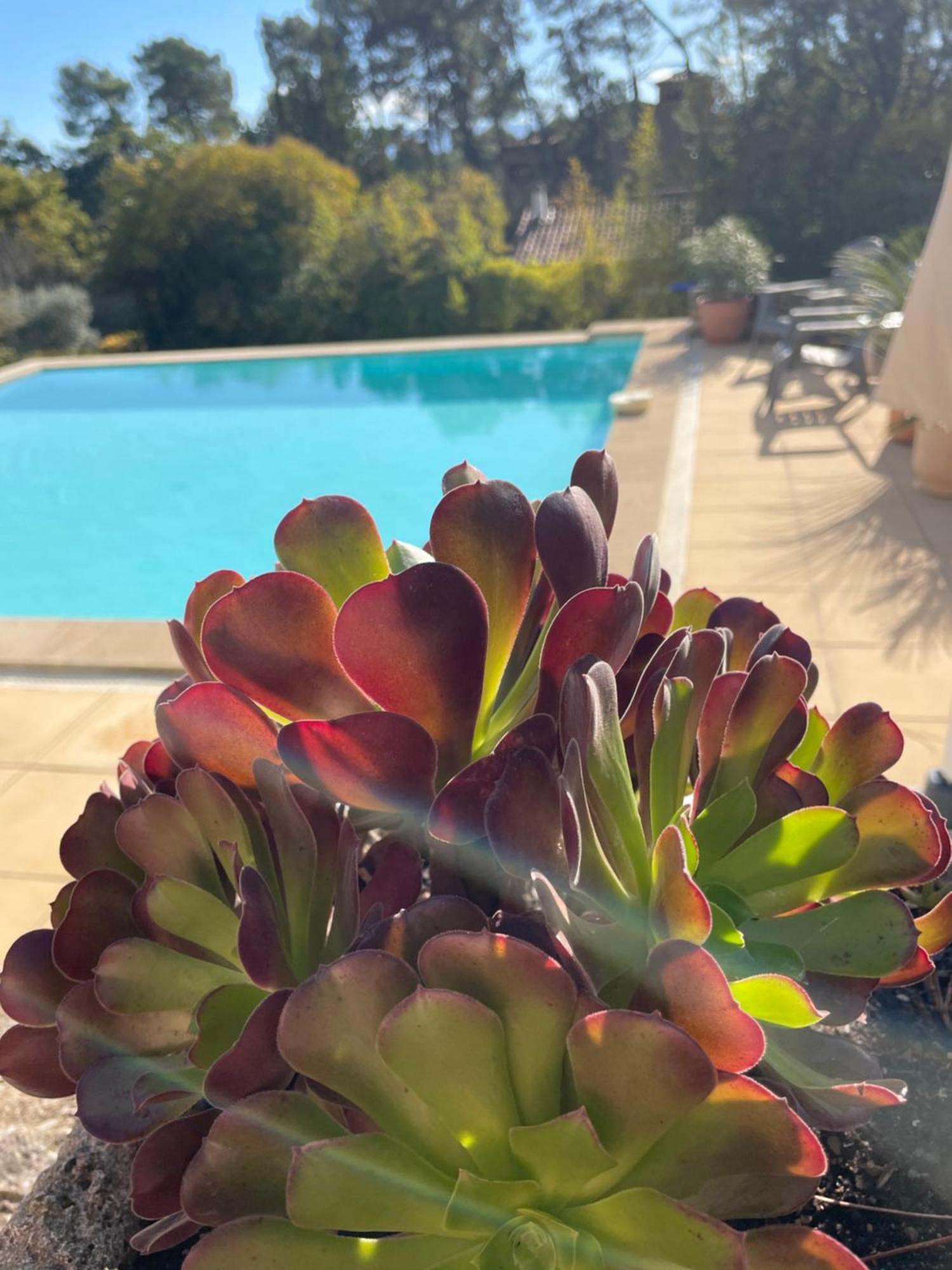 Appartamento O Coeur Des Ocres Roussillon en Isere Esterno foto